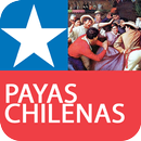 APK Payas Chile