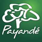 Club Payandé icône