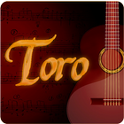 CLAUDIO TORO ikon