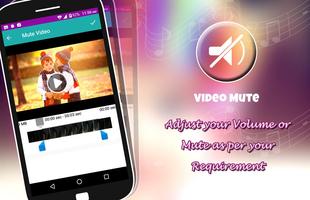 Video Mute poster