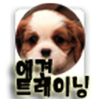 애견 훈련 매뉴얼. 클리커(Clicker) - 강아지 icon