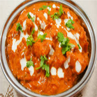 Indian Non Vegetarian Recipes-icoon