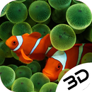 Clowfish 3D Live Wallpaper aplikacja