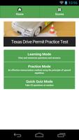 Texas Driving Test FREE Affiche