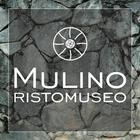 MULINORISTOMUSEO আইকন