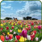 Tulip Butterfly LWP icon