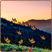 Mountain Butterfly icon