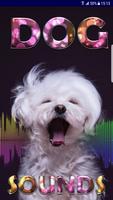 mejores sonidos de perro Poster