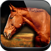 Horse Sounds APK