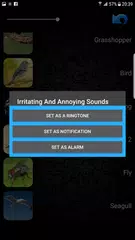 刺激的で厄介な音 アプリダウンロード