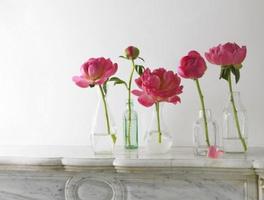 2 Schermata bel vaso di fiori