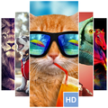 Animal Wallpapers (4K HD)
