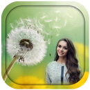 Dandelion Photo Frame APK