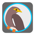 Myna icon