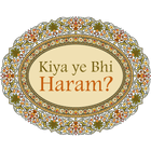 Kiya Ye Bhi Haram icono