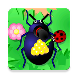 Crawl Mr. Beetle アイコン