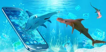 3D Crazy Shark Launcher