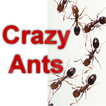 Crazy Ants game