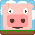Gravity Pig