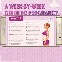 Pregnancy week by week Affiche