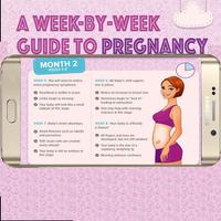 Pregnancy week by week capture d'écran 1
