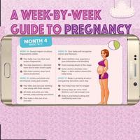 Pregnancy week by week capture d'écran 3