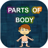 Parts Of Body