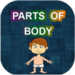 Parts Of Body