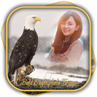 Bald Eagle Photo Frame 아이콘