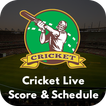 Cricket Live Score – CricLine