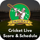 Cricket Live Score – CricLine APK