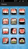 Dental Study স্ক্রিনশট 2