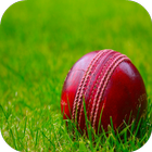 Cricket Wallpaper HD icône