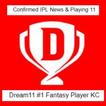 ”dream11 ipl fantasy cricket, D11 daily news & tips