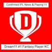 dream11 ipl fantasy cricket, D11 daily news & tips