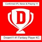 dream11 ipl fantasy cricket, D11 daily news & tips 圖標