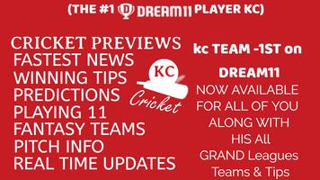 dream11 ipl fantasy cricket, D11 daily news & tips Screenshot 1