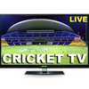 Live Cricket TV-icoon