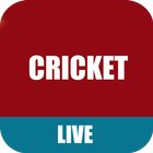 Live Cricket - WorldCup 2016 icône