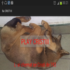 Contest Cristi APK