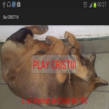 Contest Cristi