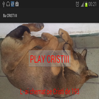 Contest Cristi icon