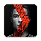 Cristiano Ronaldo Photo icône