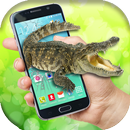 Wild Crocodile Attack in phone screen scary joke APK