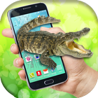 Wild Crocodile Attack in phone screen scary joke icône