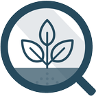 Crop Insight Registration icon