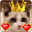 戴皇冠的猫公主爱心图标手机主题