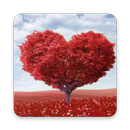 Shayari - Top Love quotes - English, Hindi APK