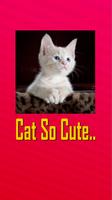 CatSoCute Affiche