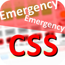 CSS Quick APK